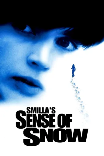 Smilla ve Karlar İndir posteri