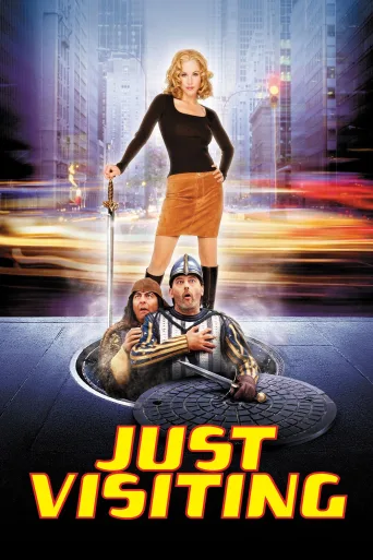 Çılgın Konuklar İndir posteri