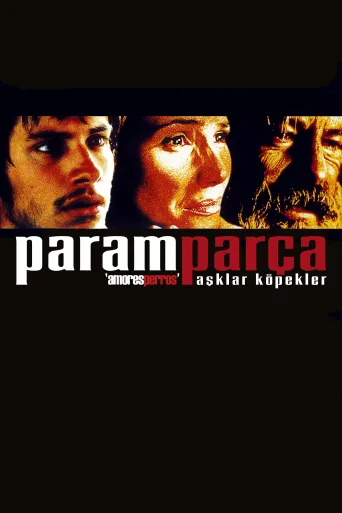 Paramparça Aşklar Köpekler İndir posteri