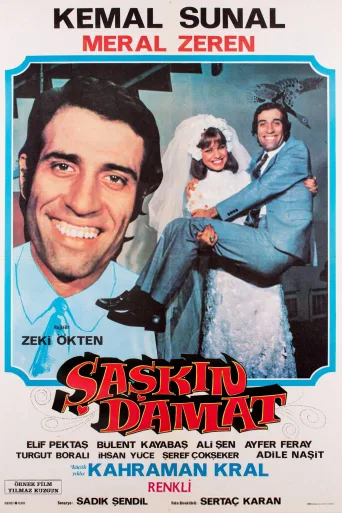 Şaşkın Damat İndir posteri