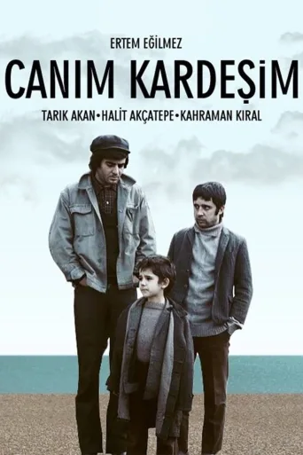 Canım Kardeşim İndir posteri