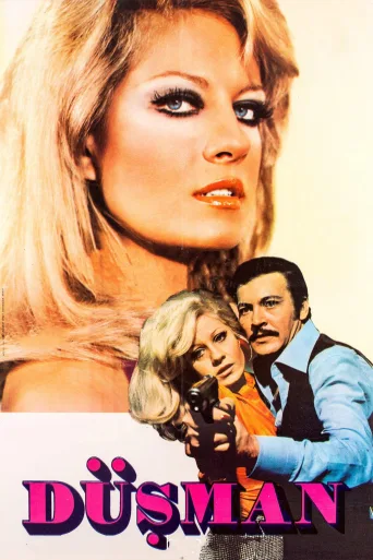 Düşman İndir posteri