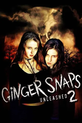 Kurtkızlar Serbest Kaldı İndir posteri