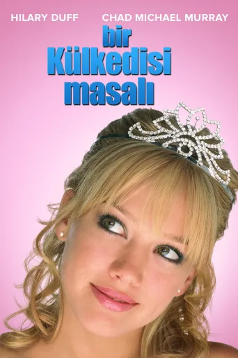 Bir Külkedisi Masalı İndir posteri