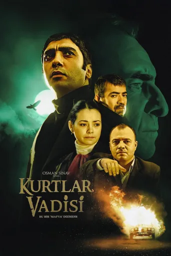 Kurtlar Vadisi 720p İndir posteri