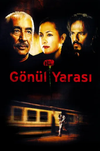 Gönül Yarası İndir posteri