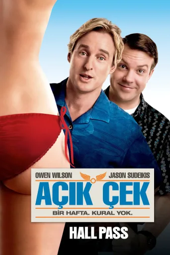 Açık Çek İndir posteri