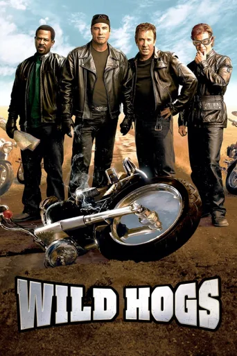 Çılgın Motorcular İndir posteri