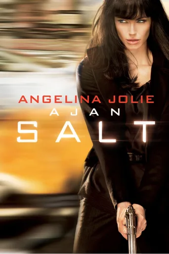 Ajan Salt İndir posteri