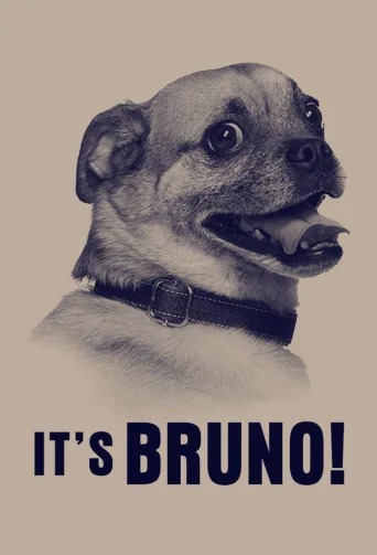 It's Bruno! 1080p Altyazılı İndir posteri
