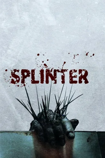 Kıymık İndir posteri
