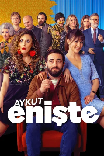 Aykut Enişte İndir posteri