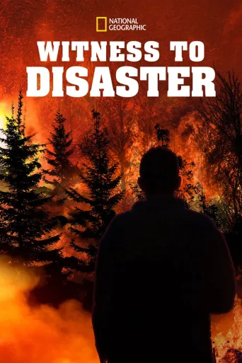 Witness to Disaster 1080p İndir posteri