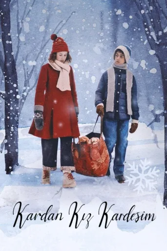 Kardan Kız Kardeşim (The Snow Sister) İndir posteri