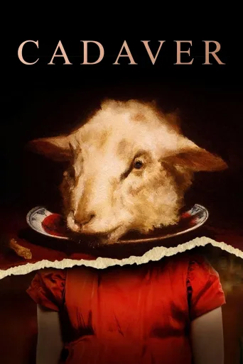 Kadaver İndir posteri