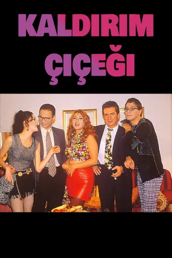 Kaldırım Çiçeği 1080p İndir posteri