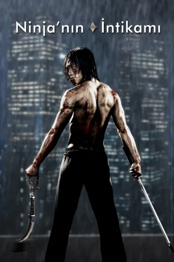 Ninja'nın İntikamı İndir posteri