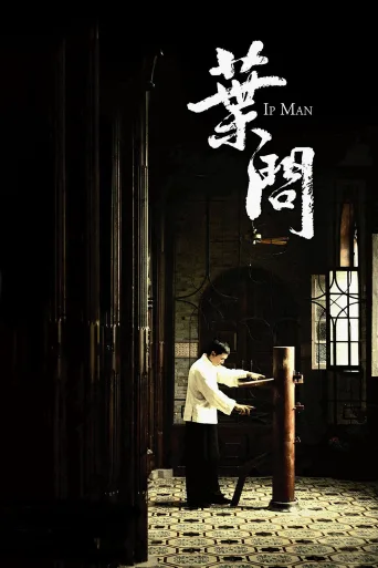 Yip Man İndir posteri