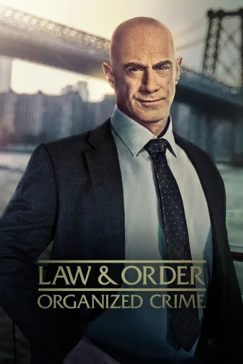 Law & Order: Organized Crime 1080p İndir posteri