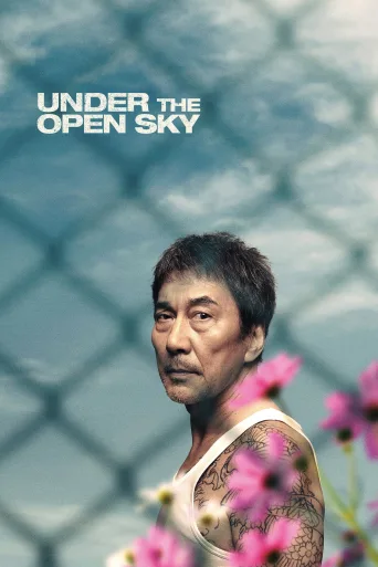 Under the Open Sky İndir posteri