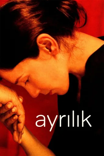 Ayrılık İndir posteri