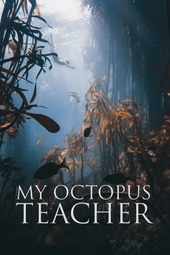 Ahtapottan Öğrendiklerim İndir posteri