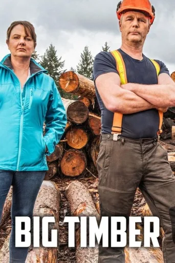 Big Timber İndir posteri