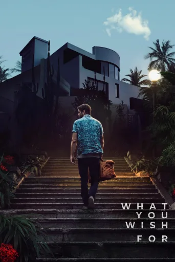 What You Wish For İndir posteri