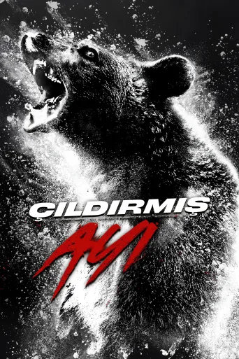 Çıldırmış Ayı İndir posteri