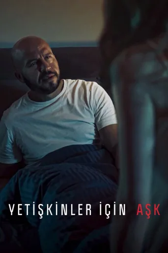 Yetişkinler İçin Aşk İndir posteri