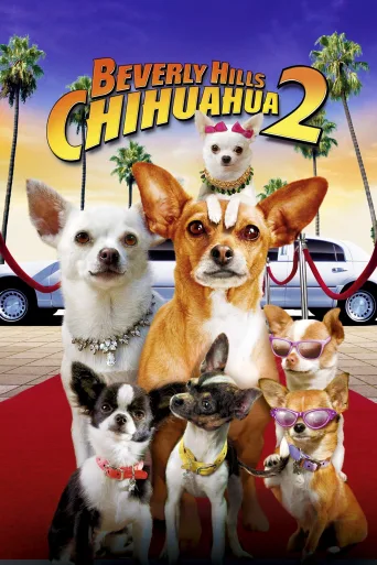 Beverly Hills Çuvava 2 İndir posteri
