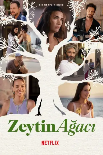 Zeytin Ağacı posteri