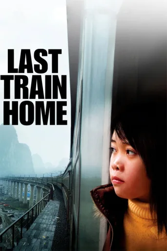 Last Train Home İndir posteri