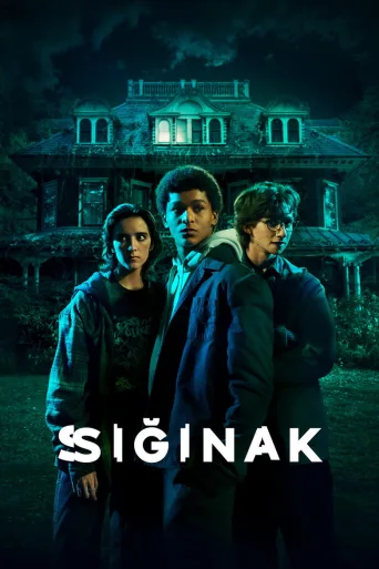 Harlan Coben's Shelter 1080p İndir posteri