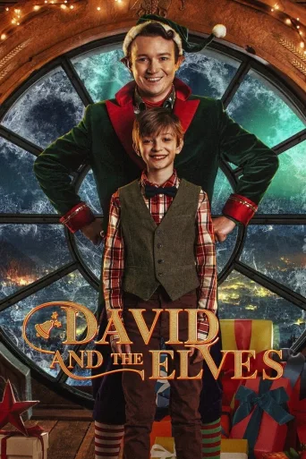 David ve Elfler İndir posteri