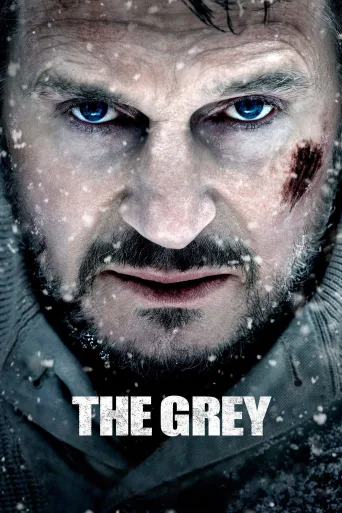 Gri Kurt İndir posteri