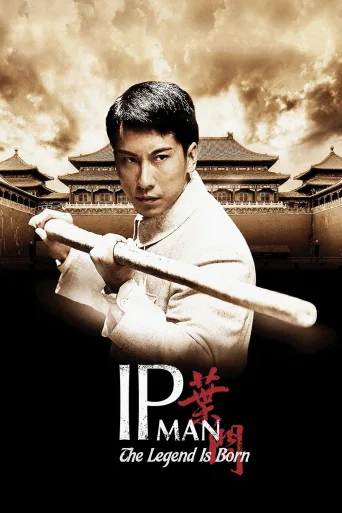 Efsane Doğuyor: Ip Man İndir posteri
