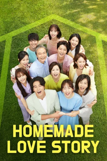 Homemade Love Story 1080p İndir posteri