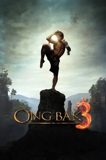 Savaşçı 3 İndir posteri