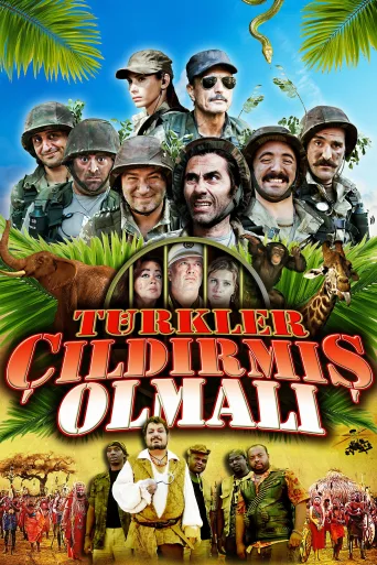 Türkler Çıldırmış Olmalı İndir posteri