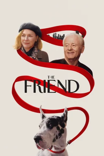 The Friend İndir posteri