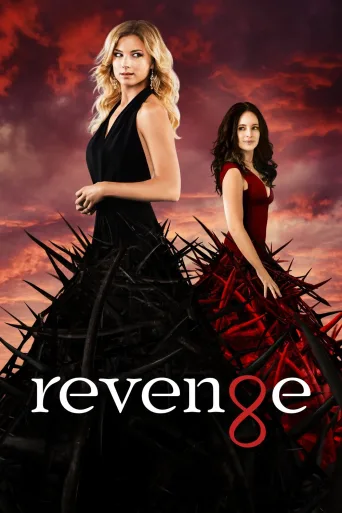 Revenge 1080p İndir posteri