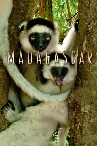 Madagascar 1080p İndir posteri