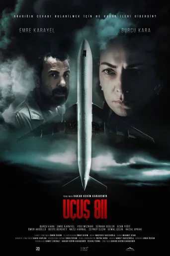 Uçuş 811 İndir posteri