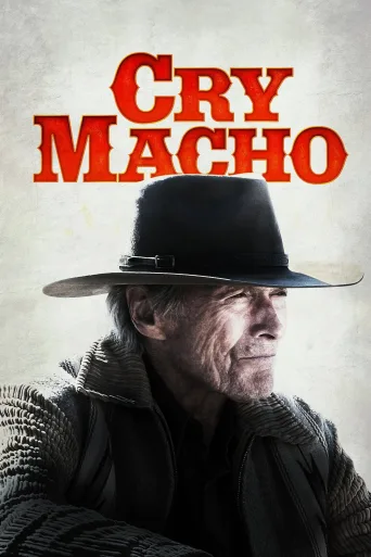 Hassas Maço İndir posteri