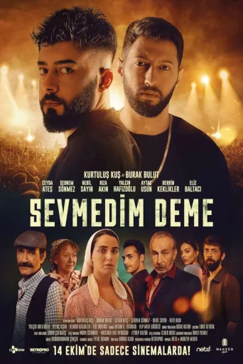 Sevmedim Deme İndir posteri