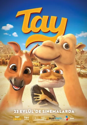 Tay İndir posteri