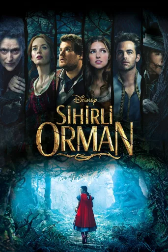 Sihirli Orman İndir posteri