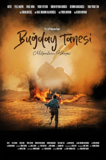 Buğday Tanesi İndir posteri
