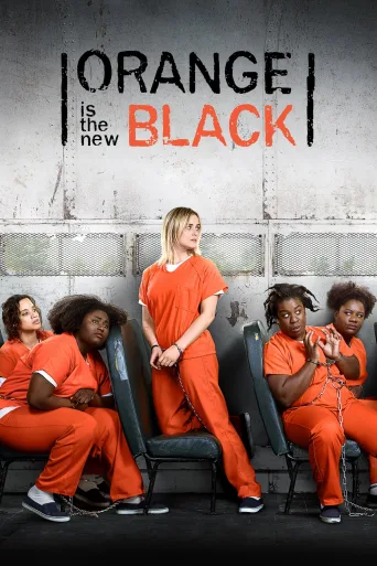 Orange Is the New Black İndir posteri